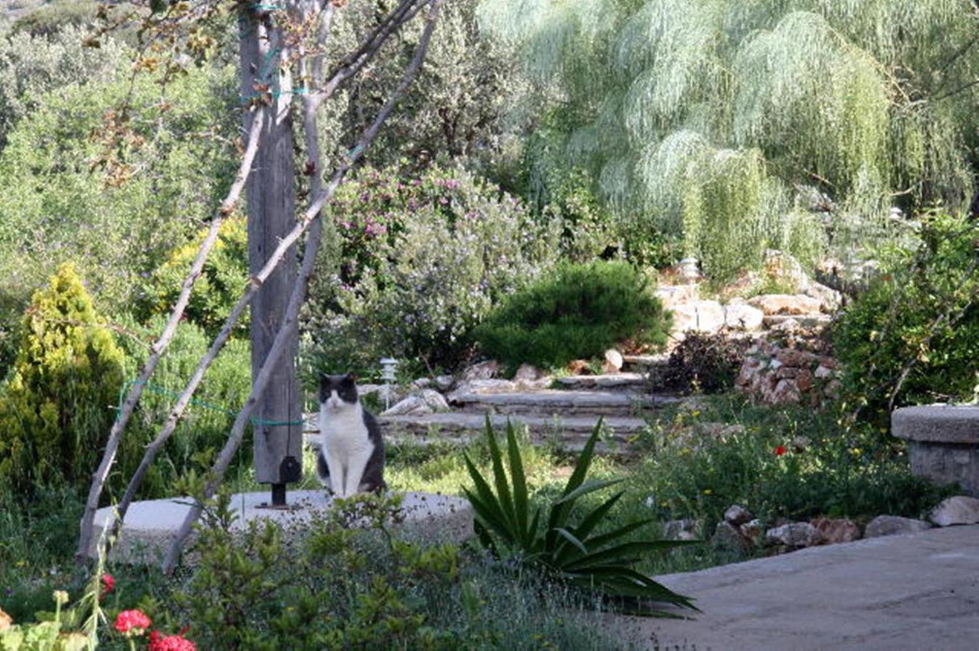 Pensjonat To The Garden Angairiá Zewnętrze zdjęcie